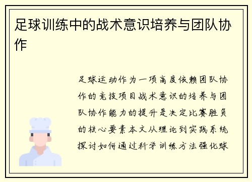 足球训练中的战术意识培养与团队协作